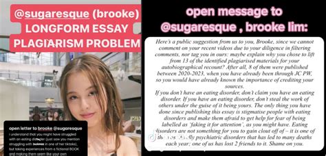 singapore influencer leaks|SGs social media influencer Sugaresque plagiarism。